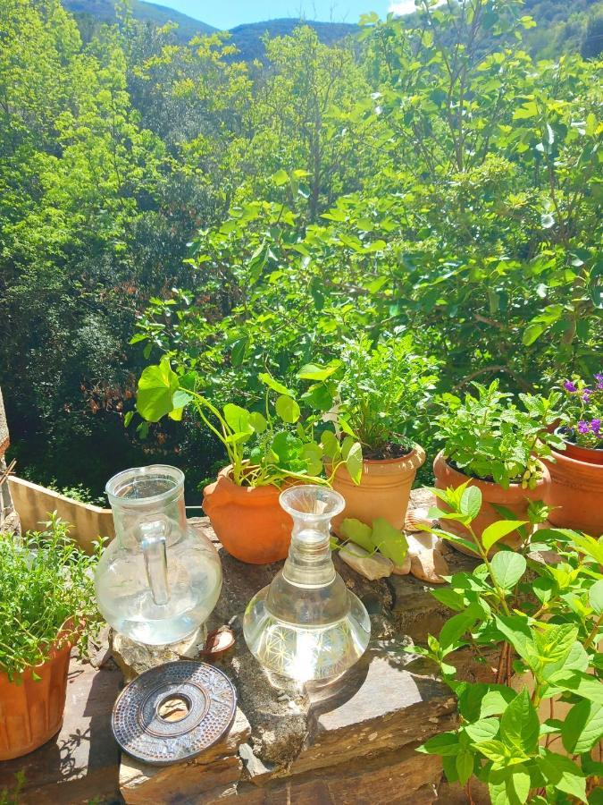 Maison Do Mi Sol Reynes Ngoại thất bức ảnh